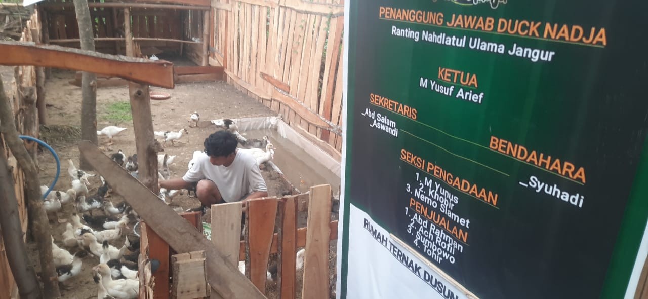 Rumah Ternak Ranting NU Jangur, Harmonisasi Koin NU dan Nahdlatuttujjar